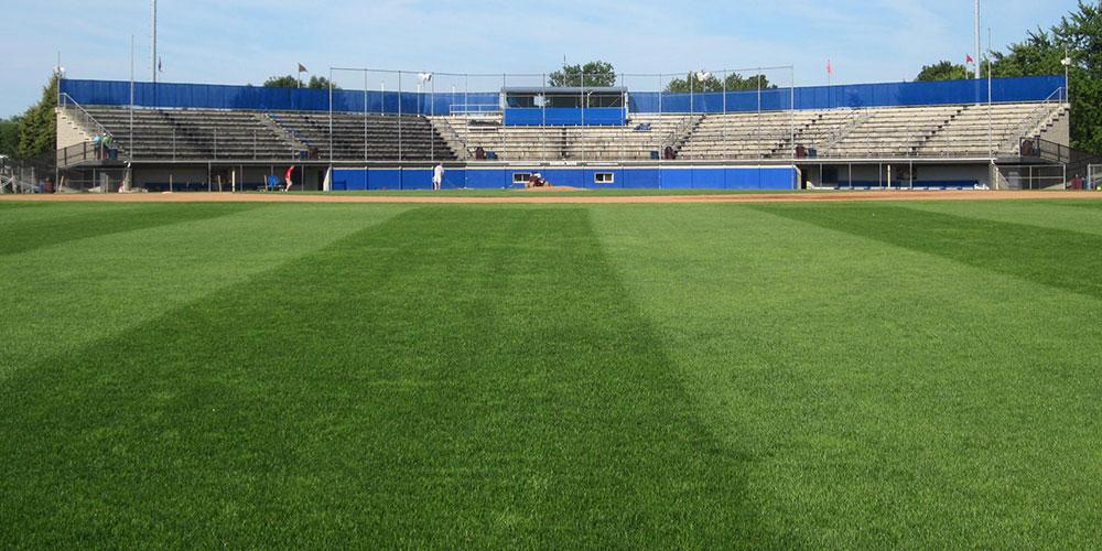 Mansfield Stadium